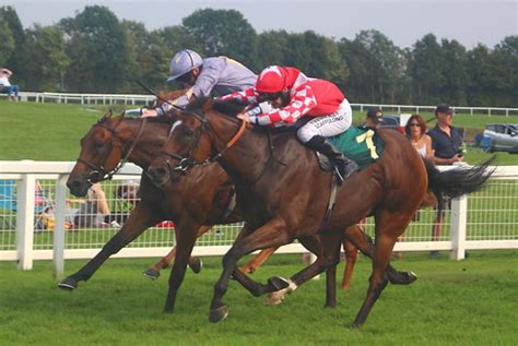 attheraces replays